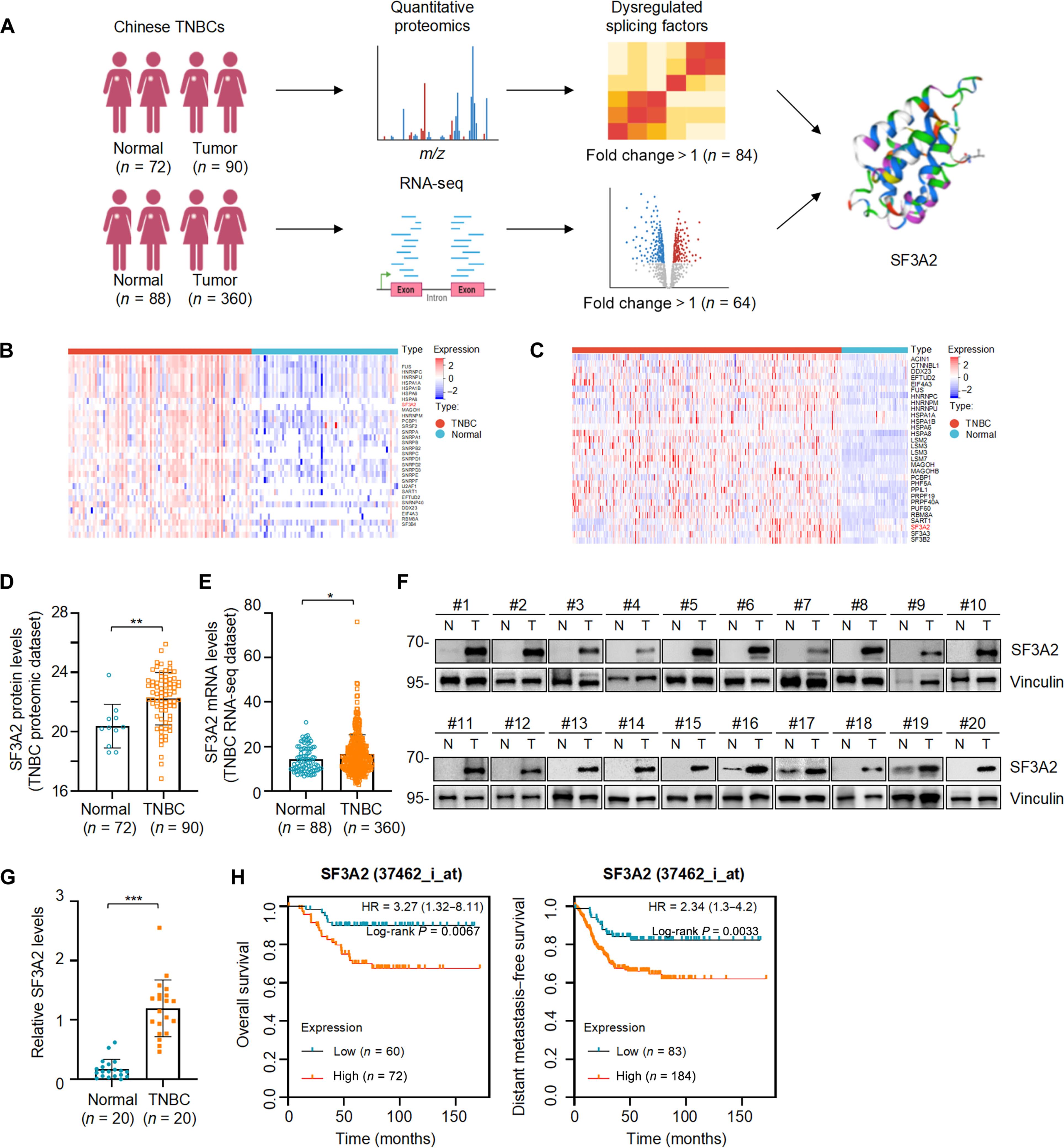 区块链人类基因测序(区块链dna中的两种算法分别是)